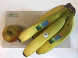 Früchte auf Belebungsbrett